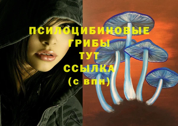 каннабис Инта