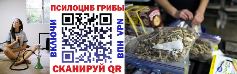 Купить  Верещагино  Псилоцибиновые грибы мицелий 